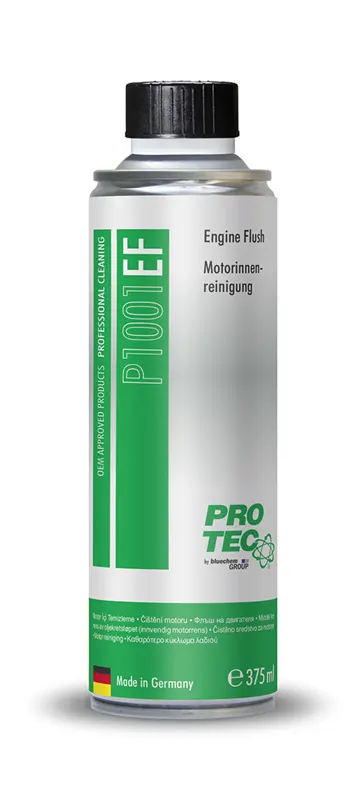 Engine Flush (EF)